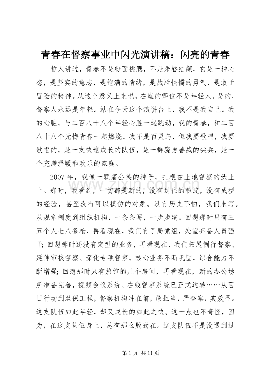 青春在督察事业中闪光演讲稿：闪亮的青春.docx_第1页