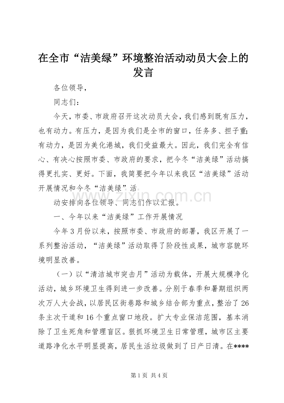 在全市“洁美绿”环境整治活动动员大会上的发言稿 (2).docx_第1页