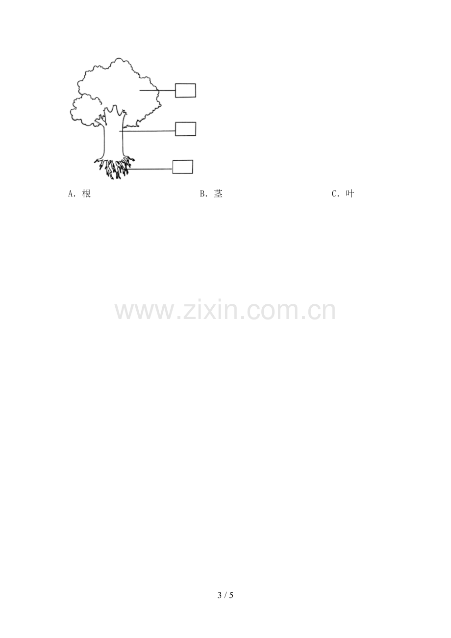 2023年人教版一年级科学下册期中试卷(参考答案).doc_第3页