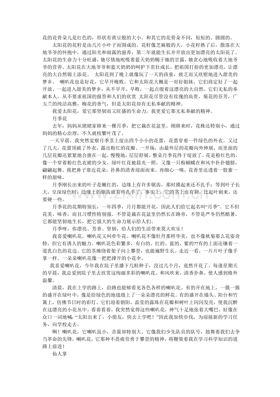 美丽的玫瑰花作文400字.doc_第3页