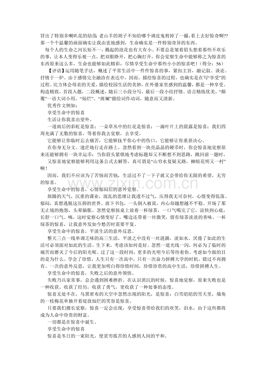 享受生命中的惊喜作文.doc_第2页