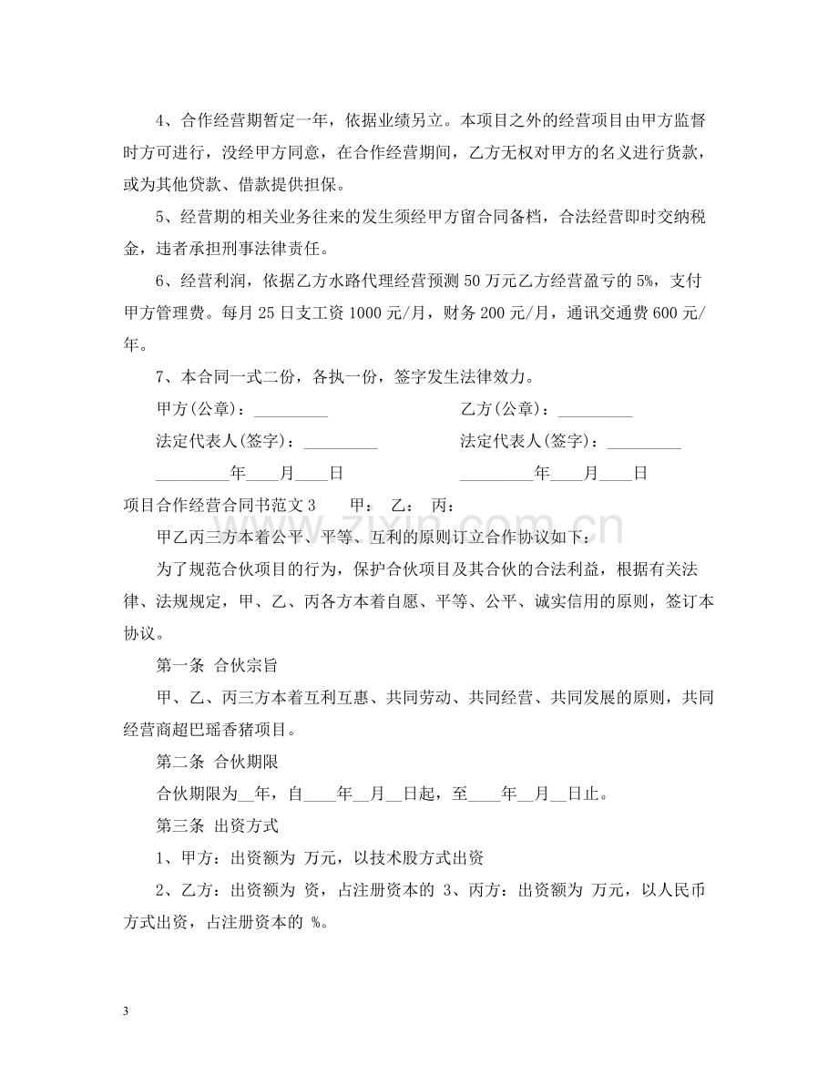 项目合作经营合同书.docx_第3页