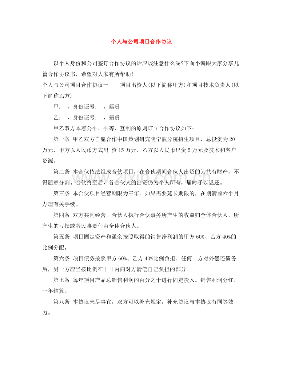 个人与公司项目合作协议.docx_第1页