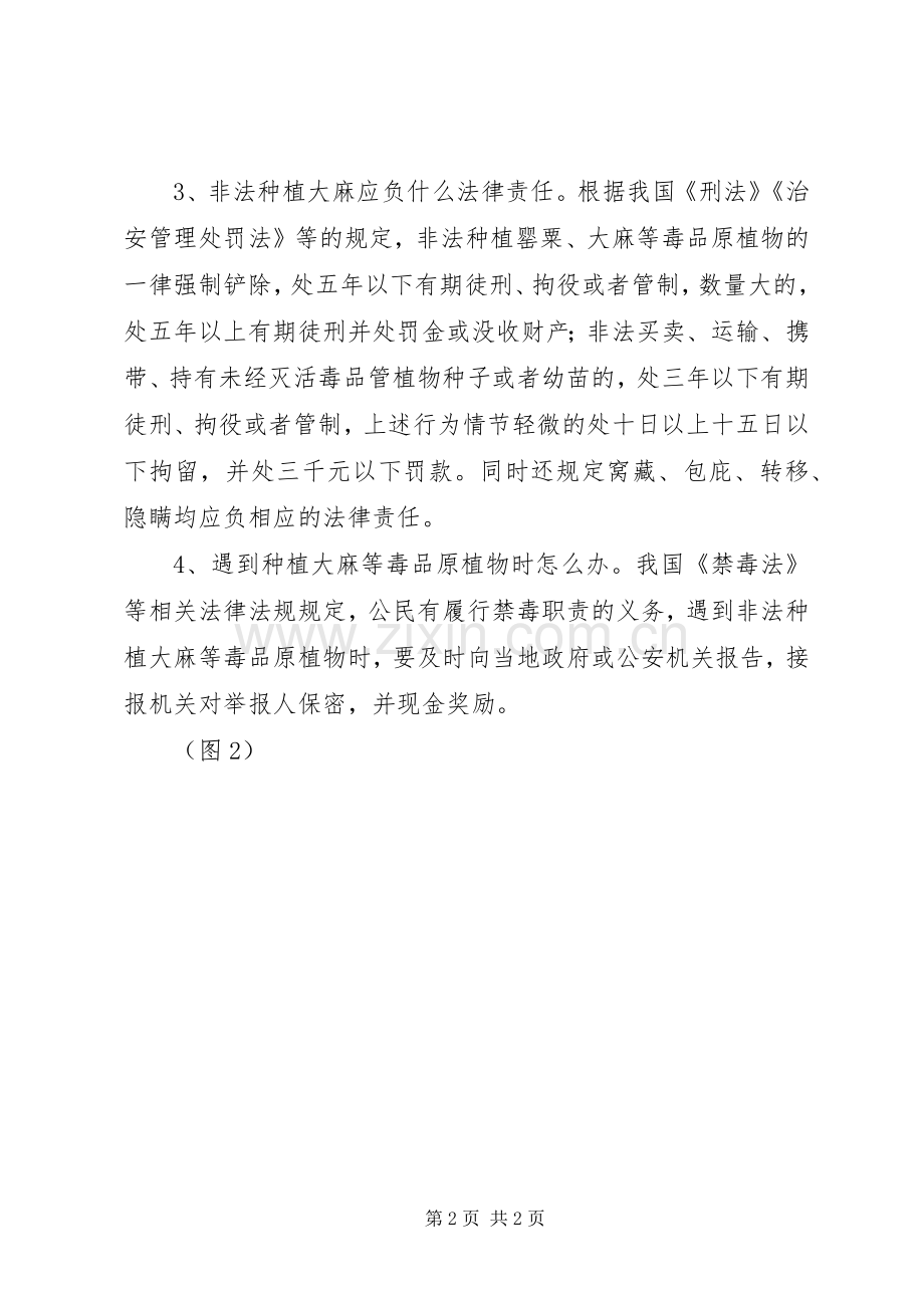 禁种铲毒实施方案5篇 (5).docx_第2页