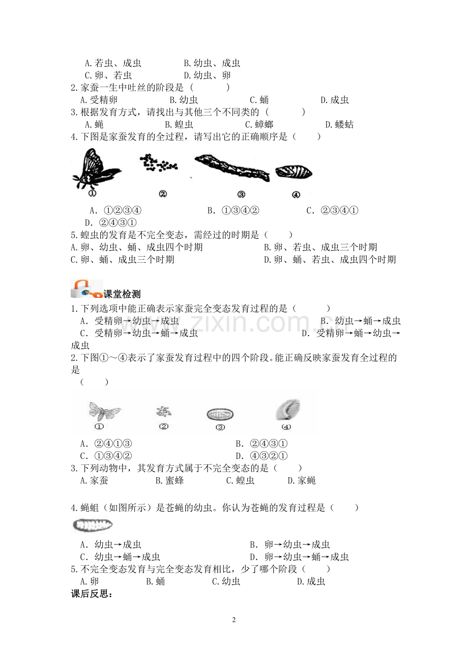 人教版八年级生物下册--导学案：7.1.2--昆虫的生殖和发育(无答案).doc_第2页