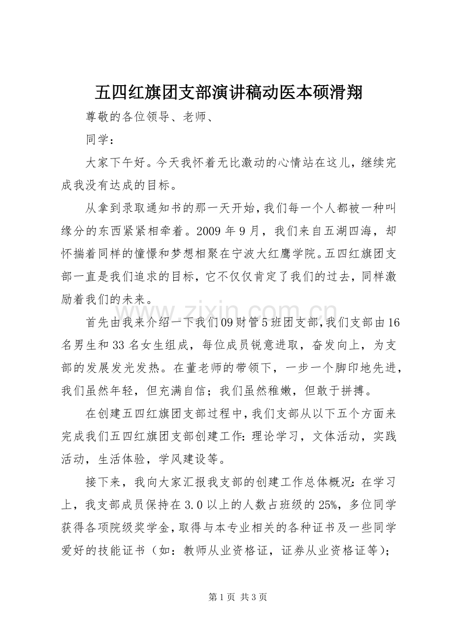 五四红旗团支部演讲稿范文动医本硕滑翔.docx_第1页