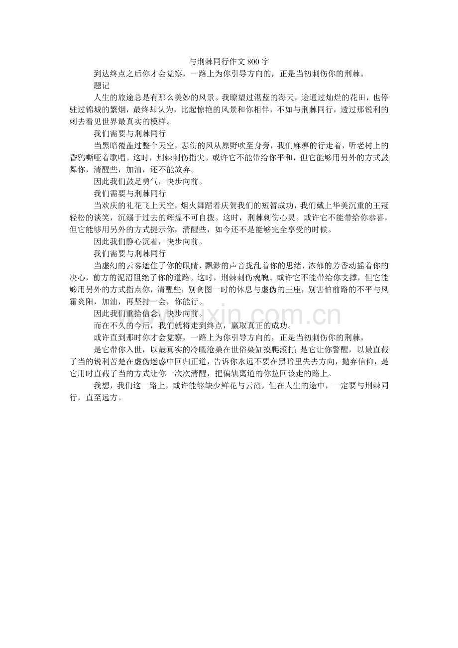 与荆棘ۥ同行作文800字.doc_第1页