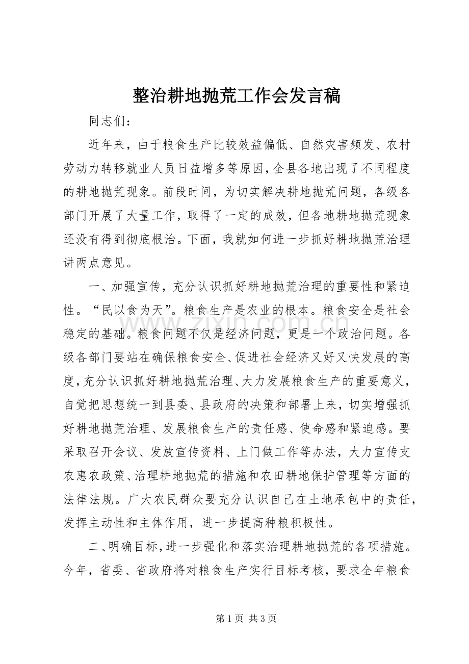 整治耕地抛荒工作会发言稿.docx_第1页