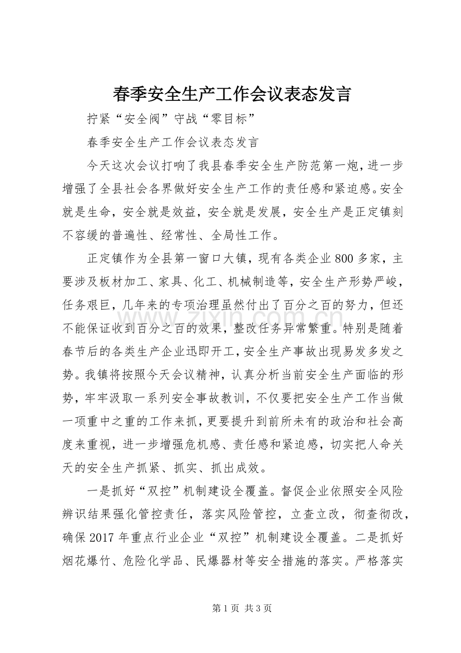 春季安全生产工作会议表态发言稿.docx_第1页