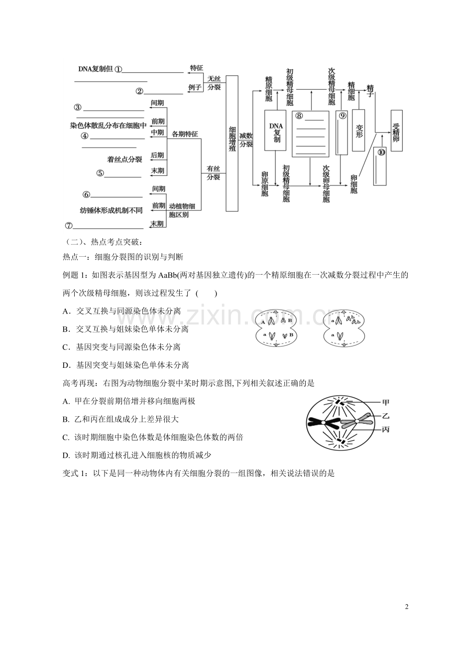 长沙县高三生物研讨会细胞增殖小专题教学设计(教案).doc_第2页