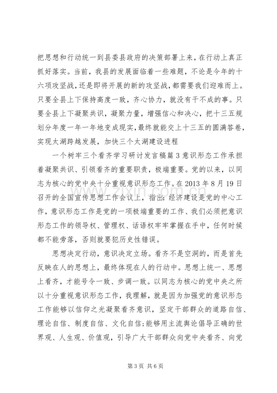 一个树牢三个看齐学习研讨发言.docx_第3页