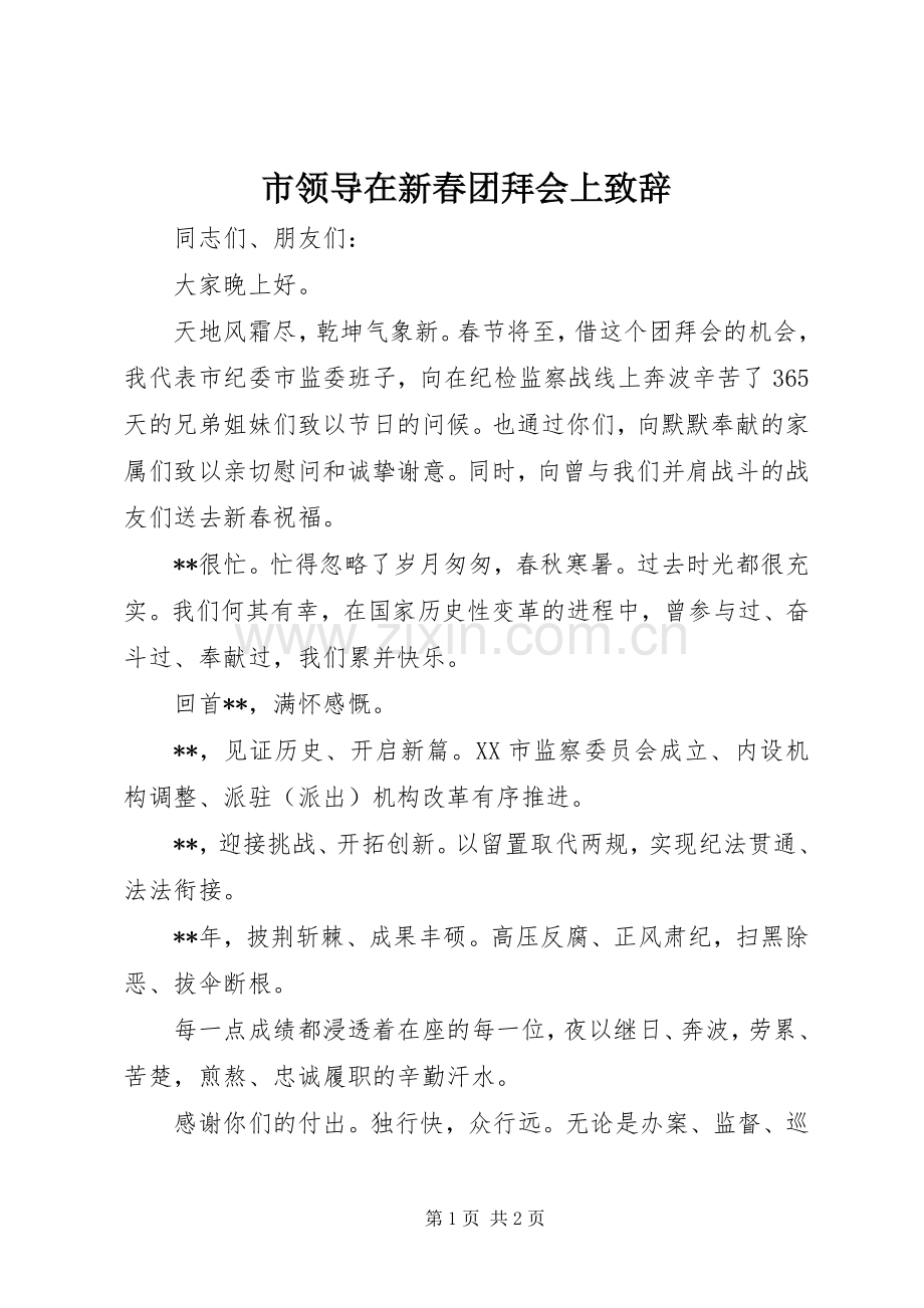 市领导在新春团拜会上演讲致辞.docx_第1页