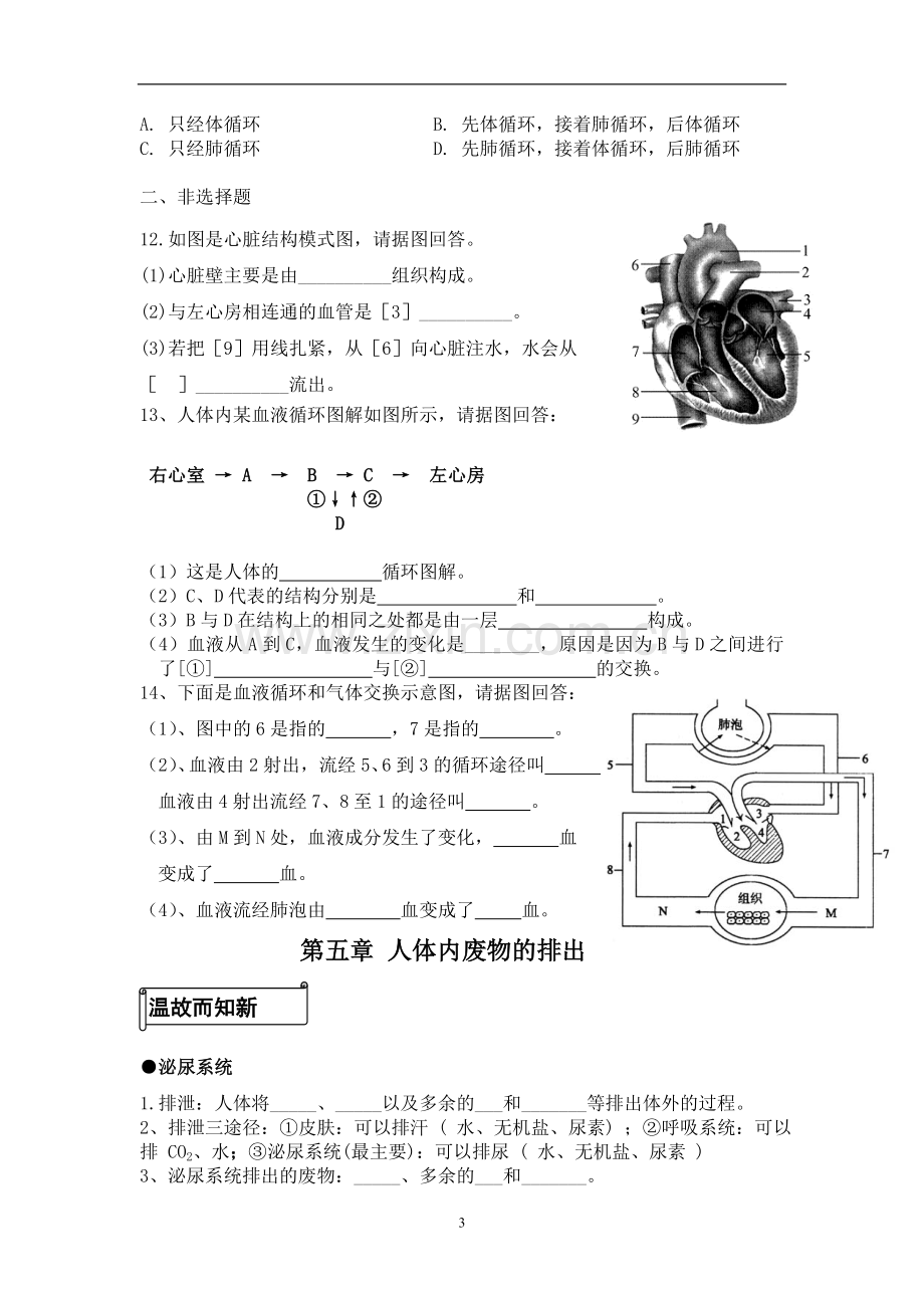 七年级下期末考试复习学案.doc_第3页