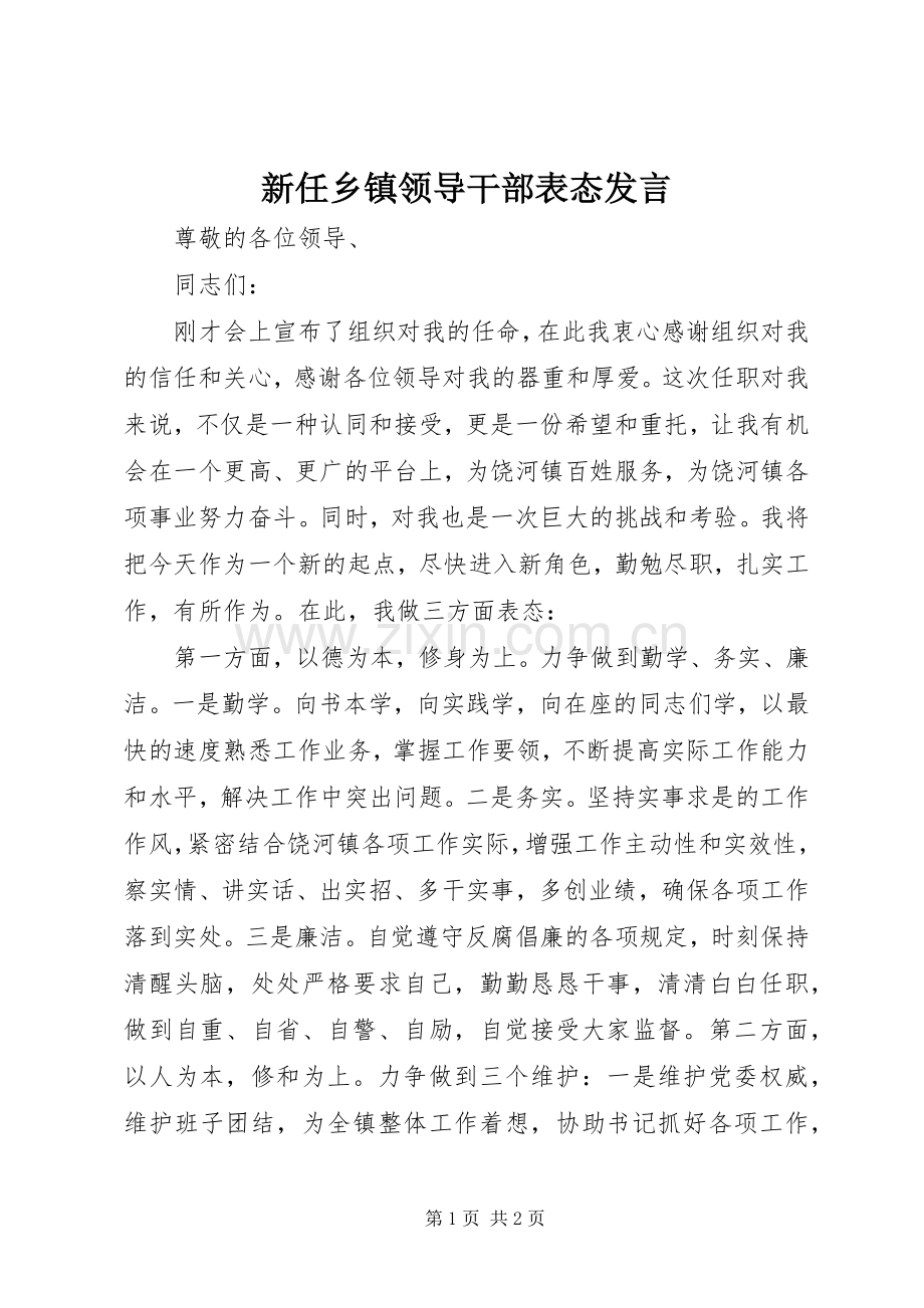 新任乡镇领导干部表态发言稿.docx_第1页