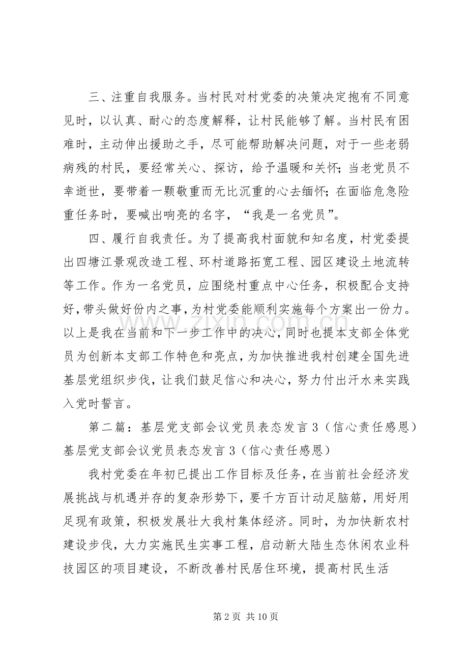 党支部会议发言(多篇).docx_第2页