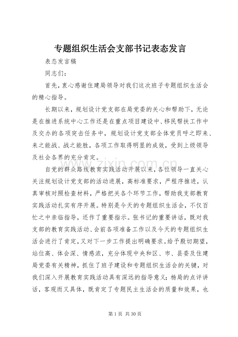 专题组织生活会支部书记表态发言稿.docx_第1页