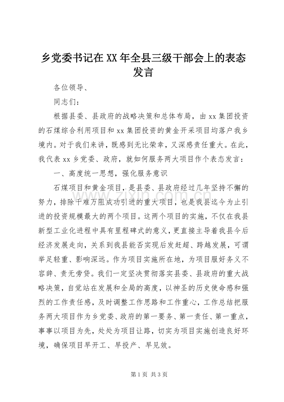 乡党委书记在XX年全县三级干部会上的表态发言稿.docx_第1页