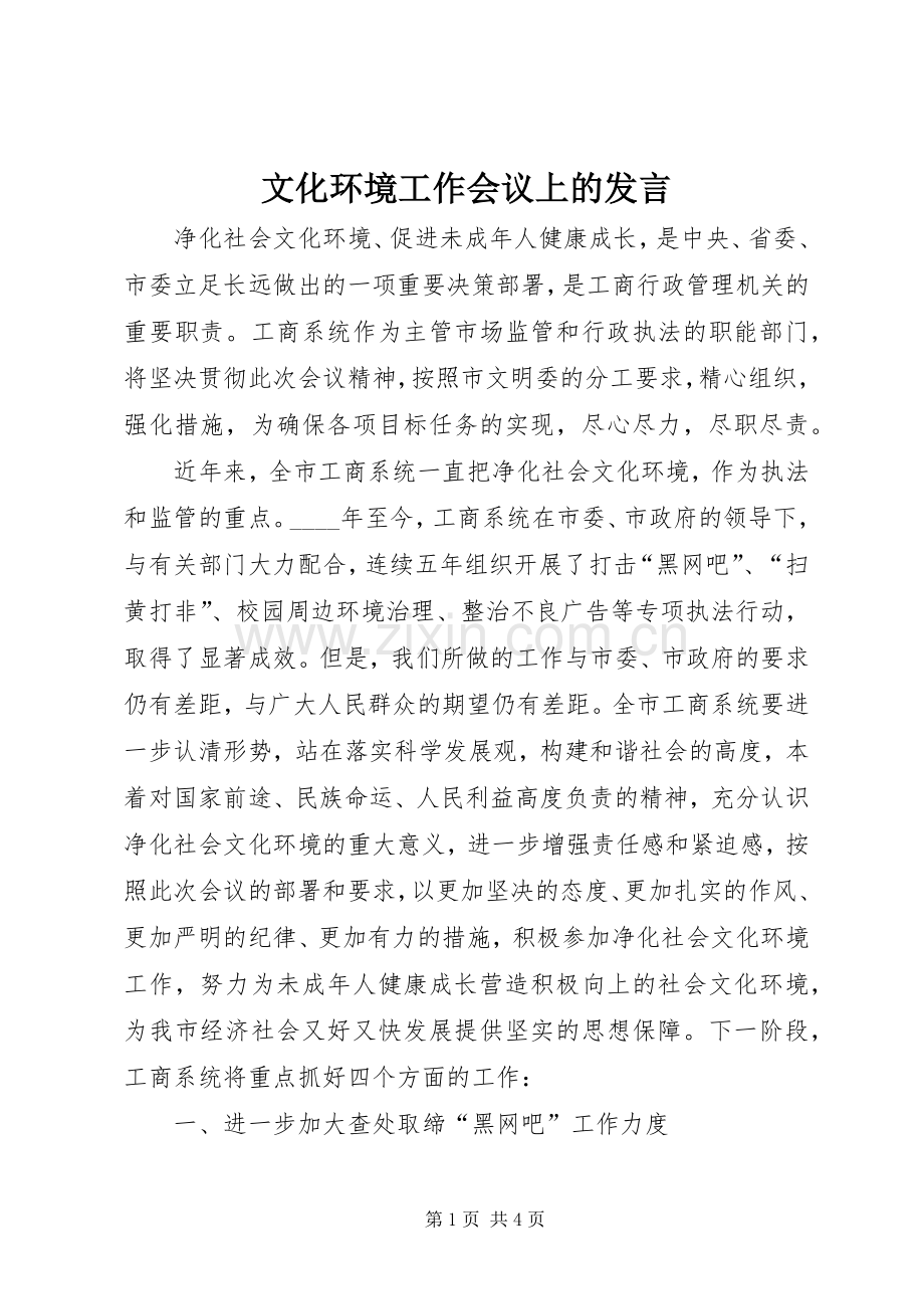 文化环境工作会议上的发言稿.docx_第1页