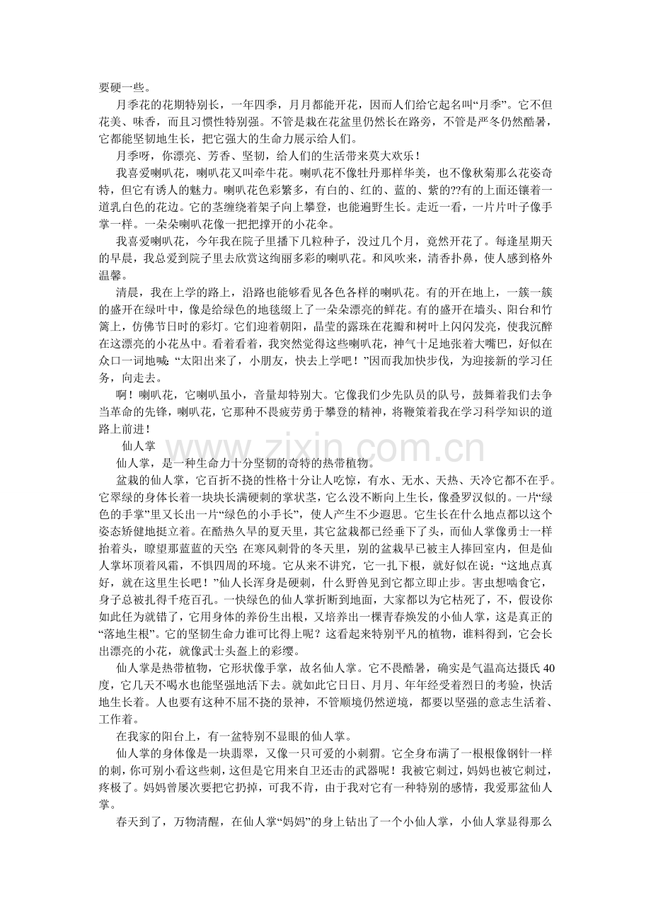 关于花的作文400字.doc_第2页