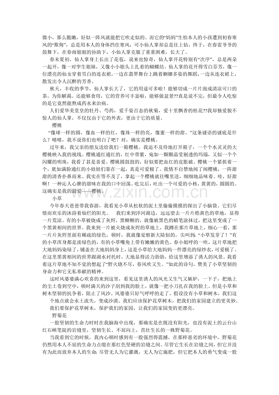 关于花的作文400字.doc_第3页