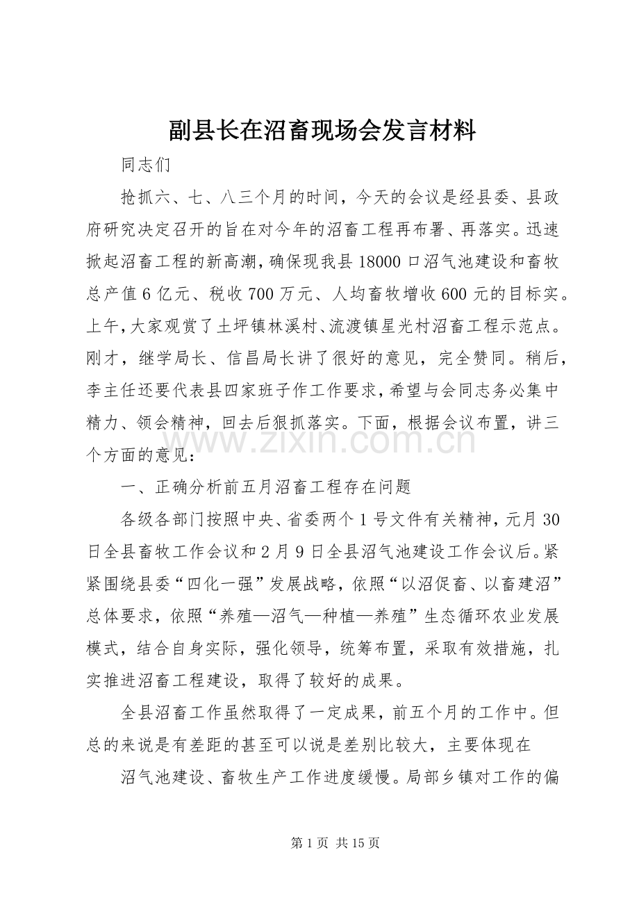 副县长在沼畜现场会发言材料提纲_1.docx_第1页