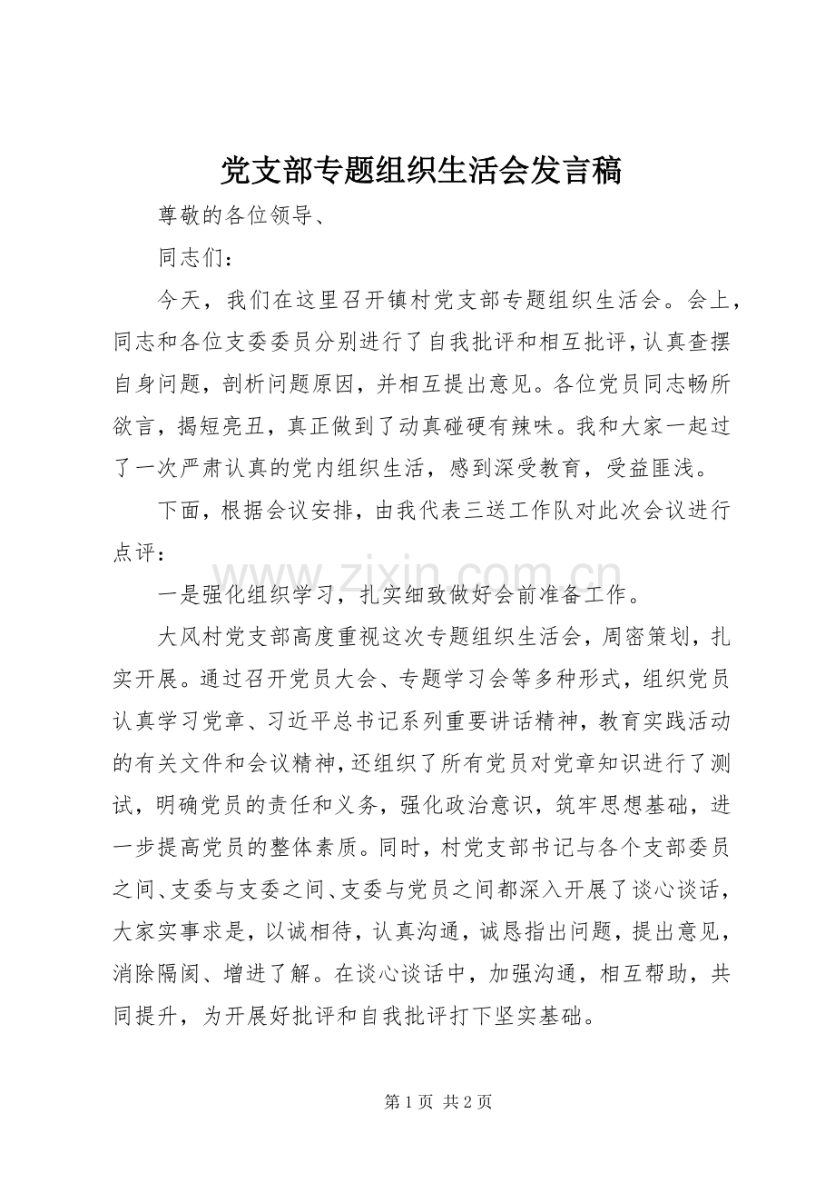 党支部专题组织生活会发言稿范文.docx_第1页