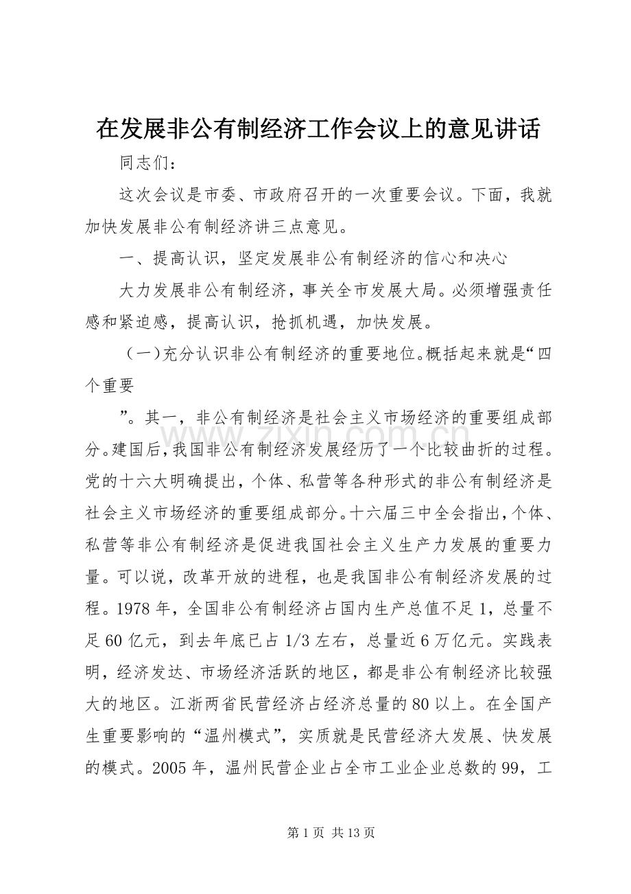 在发展非公有制经济工作会议上的意见讲话.docx_第1页