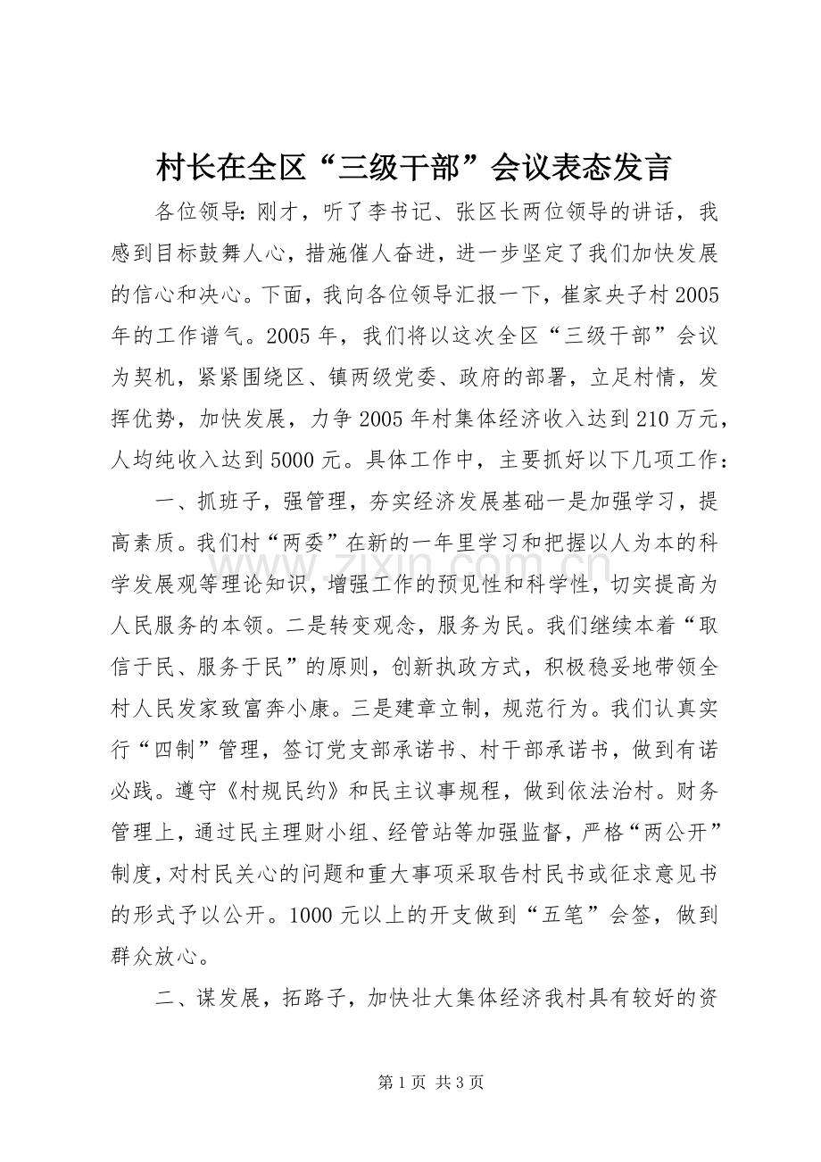 村长在全区“三级干部”会议表态发言稿_1.docx_第1页