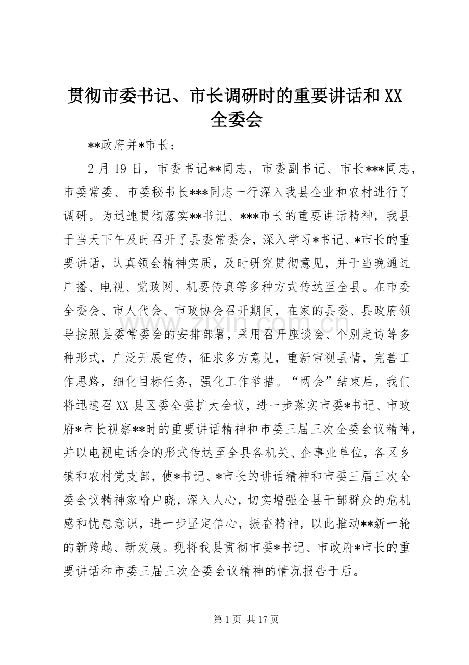 贯彻市委书记、市长调研时的重要讲话和XX全委会.docx_第1页