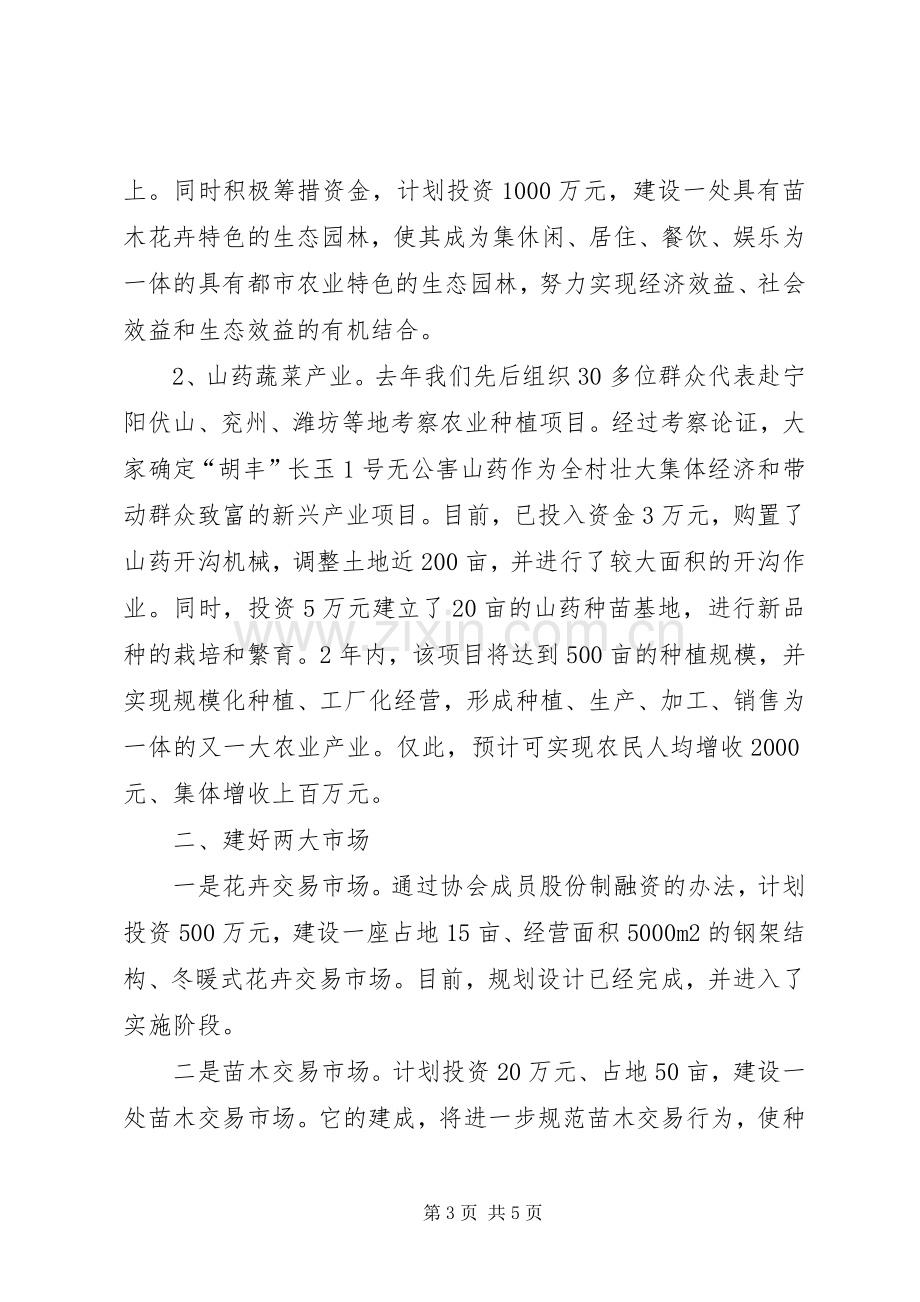 村委会主任建设社会主义新农村表态发言.docx_第3页