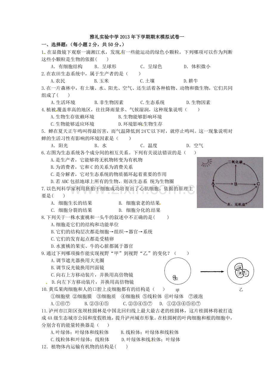 期末模拟卷试题和答案.doc_第1页