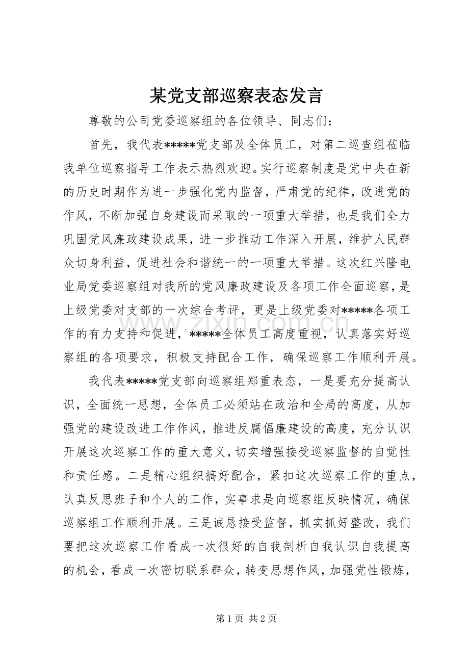 某党支部巡察表态发言稿.docx_第1页