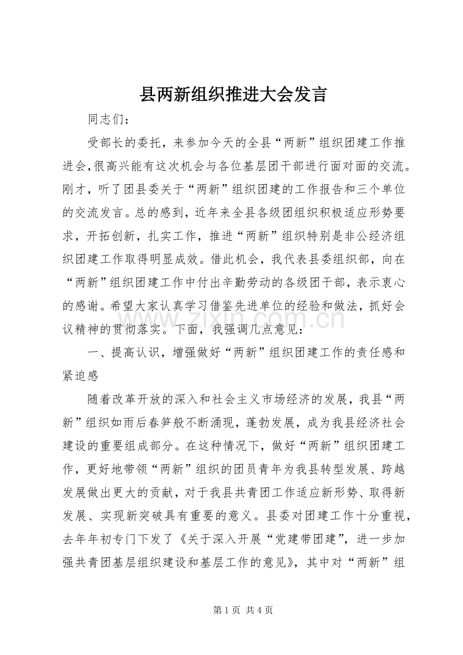 县两新组织推进大会发言.docx_第1页