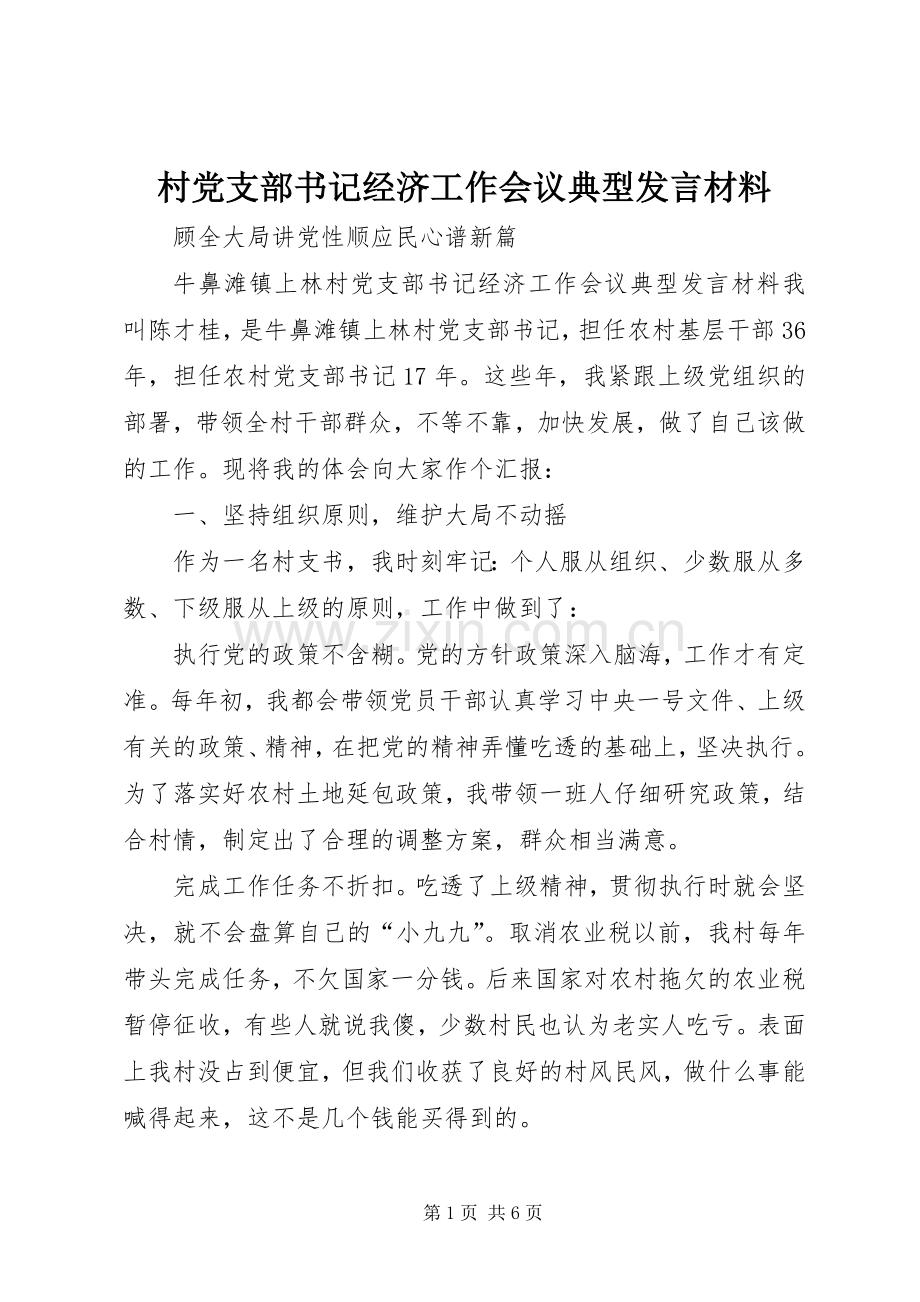 村党支部书记经济工作会议典型发言材料致辞.docx_第1页