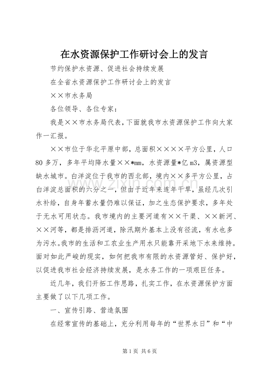 在水资源保护工作研讨会上的发言稿.docx_第1页