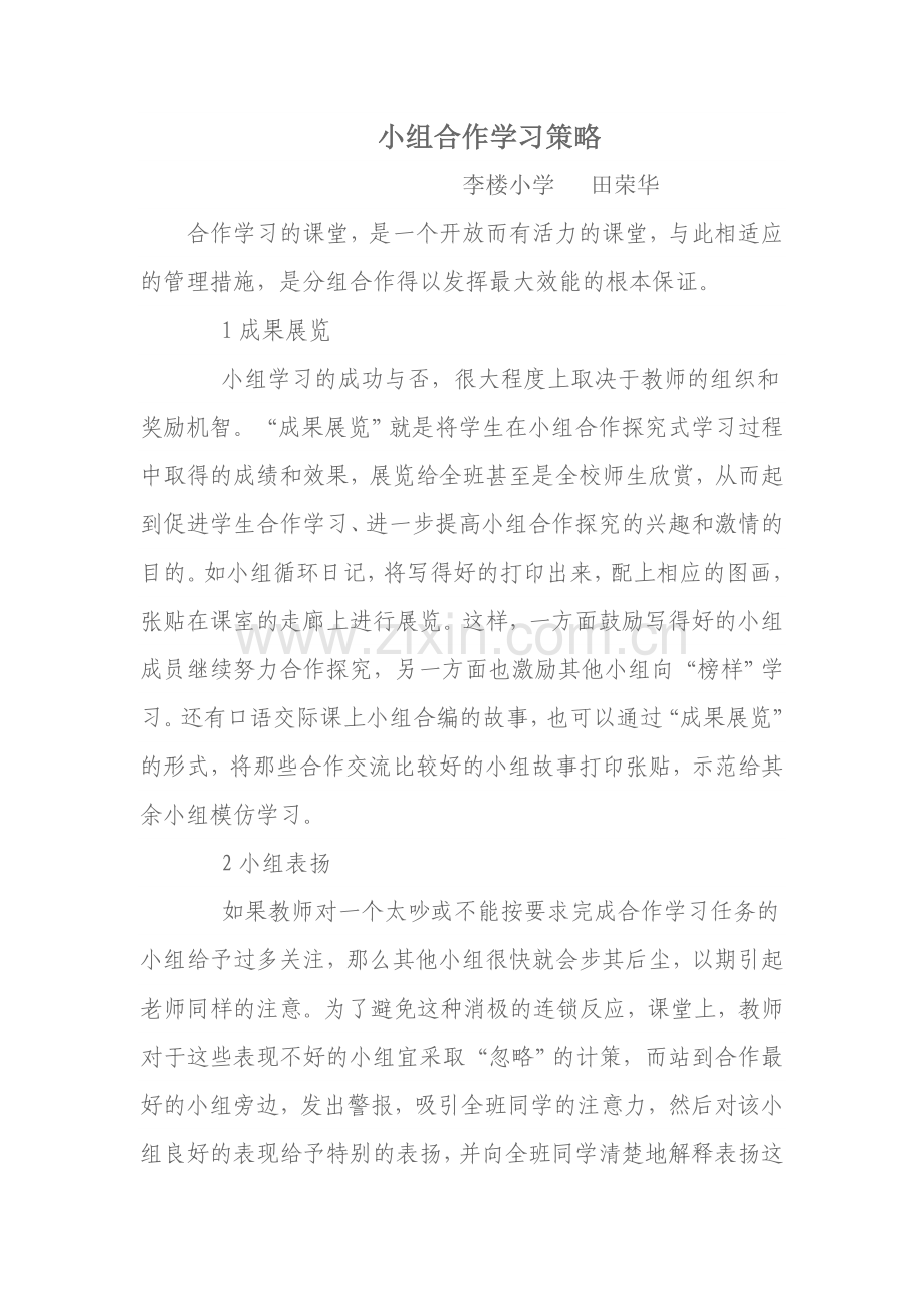 小组合作学习策略.docx_第1页