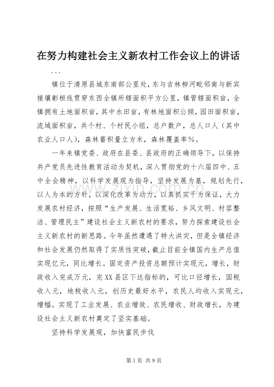 在努力构建社会主义新农村工作会议上的讲话.docx_第1页