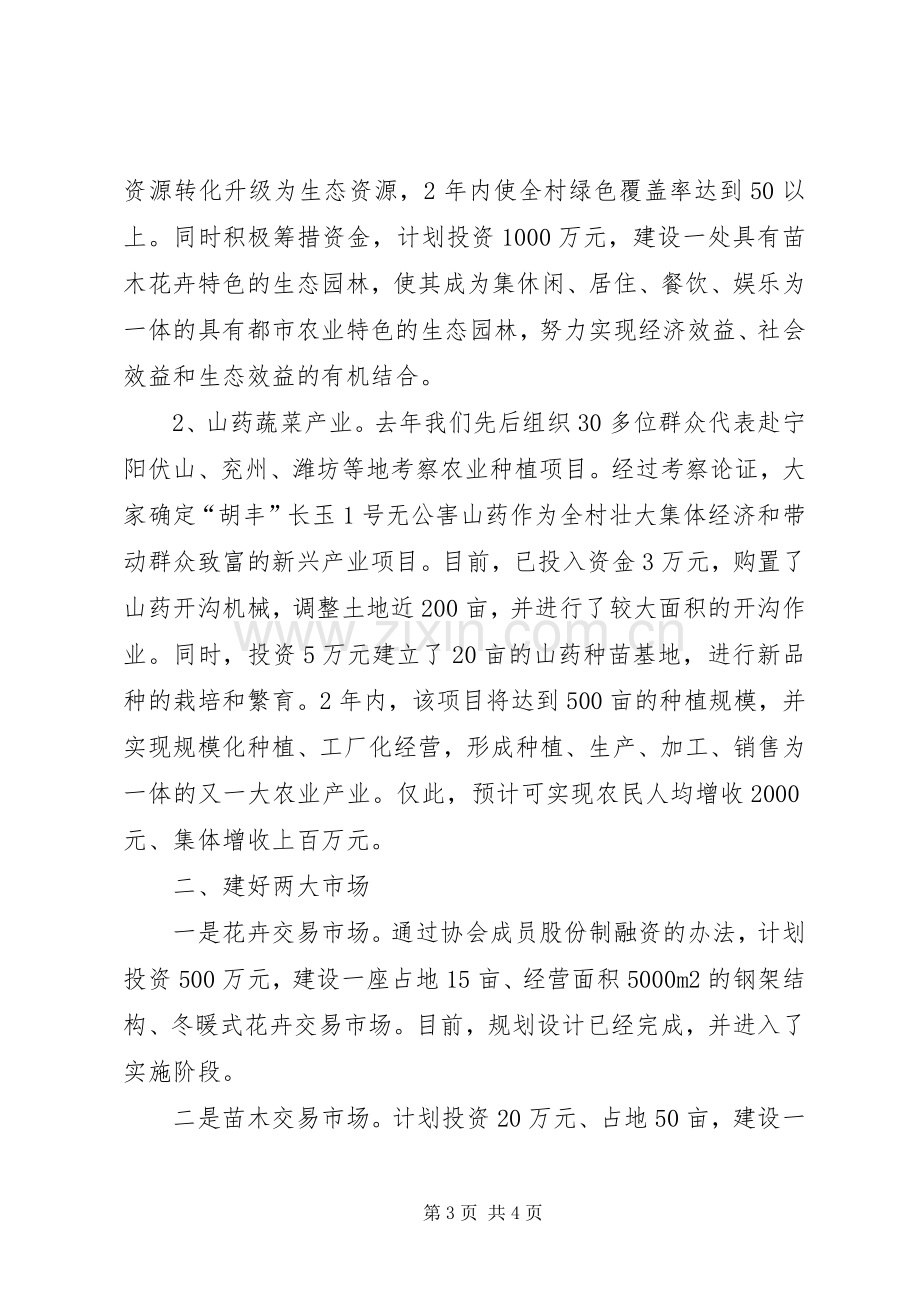 村委会主任建设社会主义新农村表态发言稿.docx_第3页