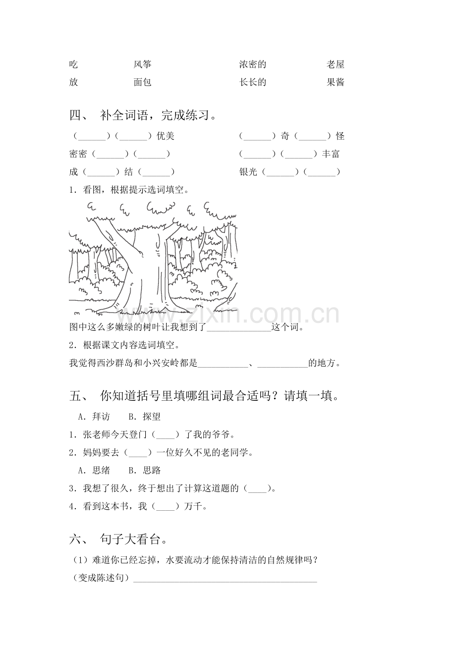 部编版语文三年级上册《花的学校》教案.doc_第3页