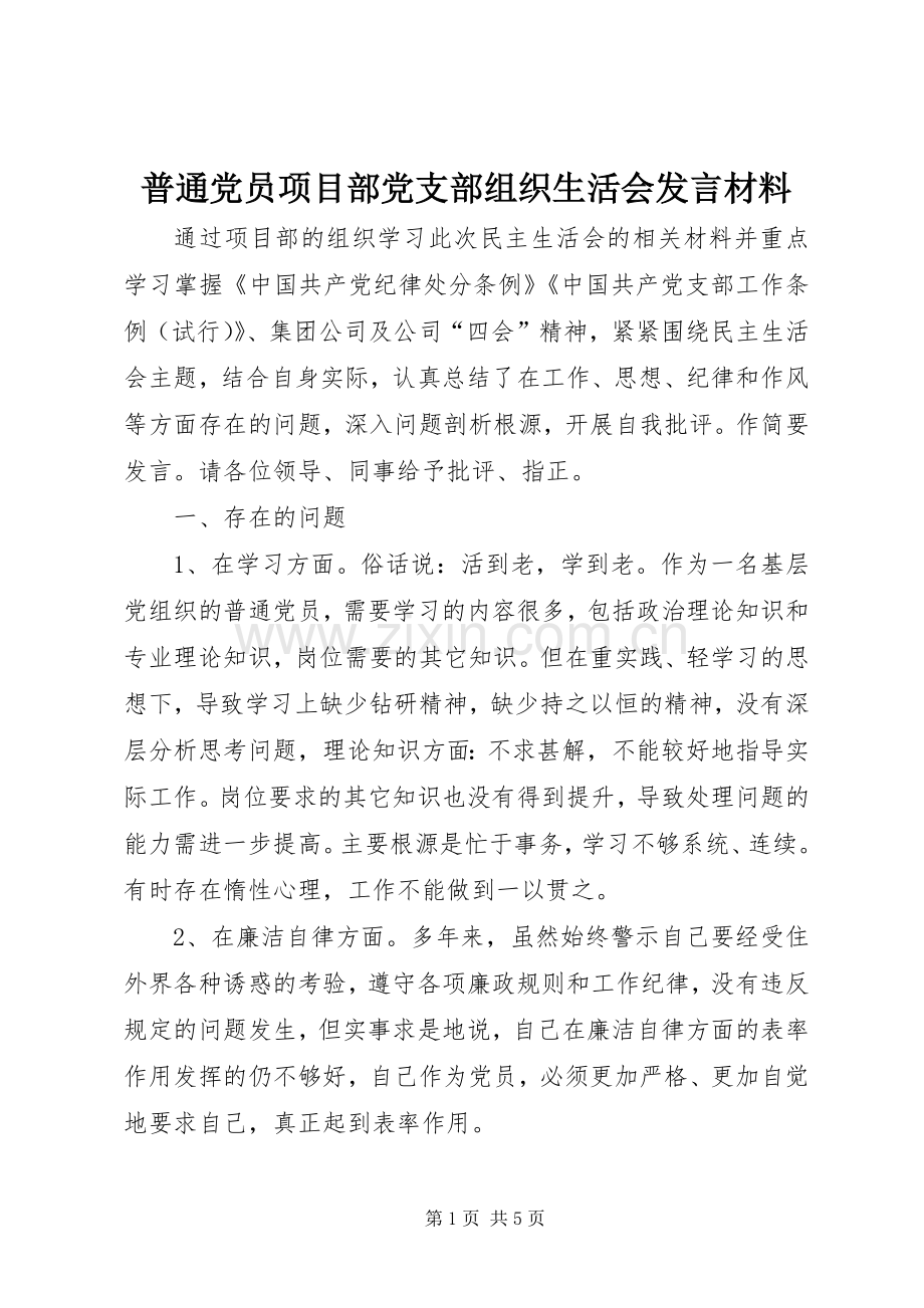 普通党员项目部党支部组织生活会发言材料.docx_第1页