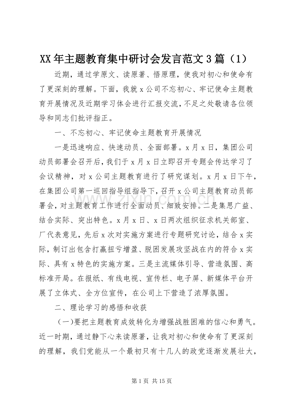 XX年主题教育集中研讨会发言稿范文3篇（1）.docx_第1页