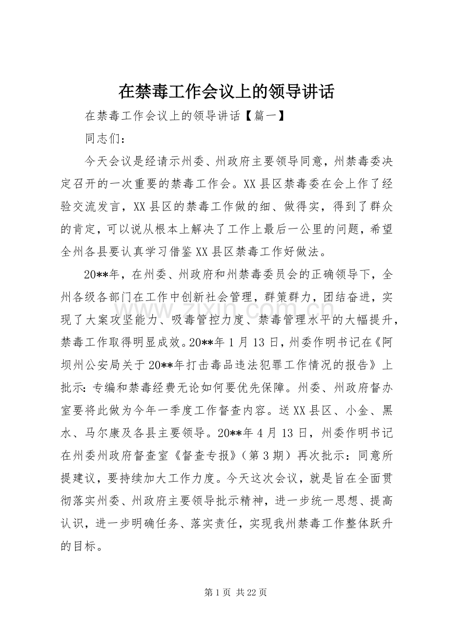 在禁毒工作会议上的领导讲话.docx_第1页