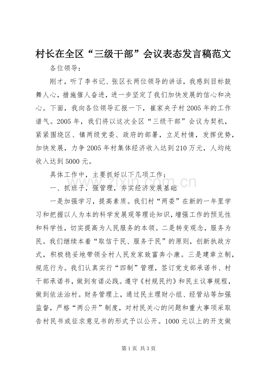 村长在全区“三级干部”会议表态发言范文.docx_第1页