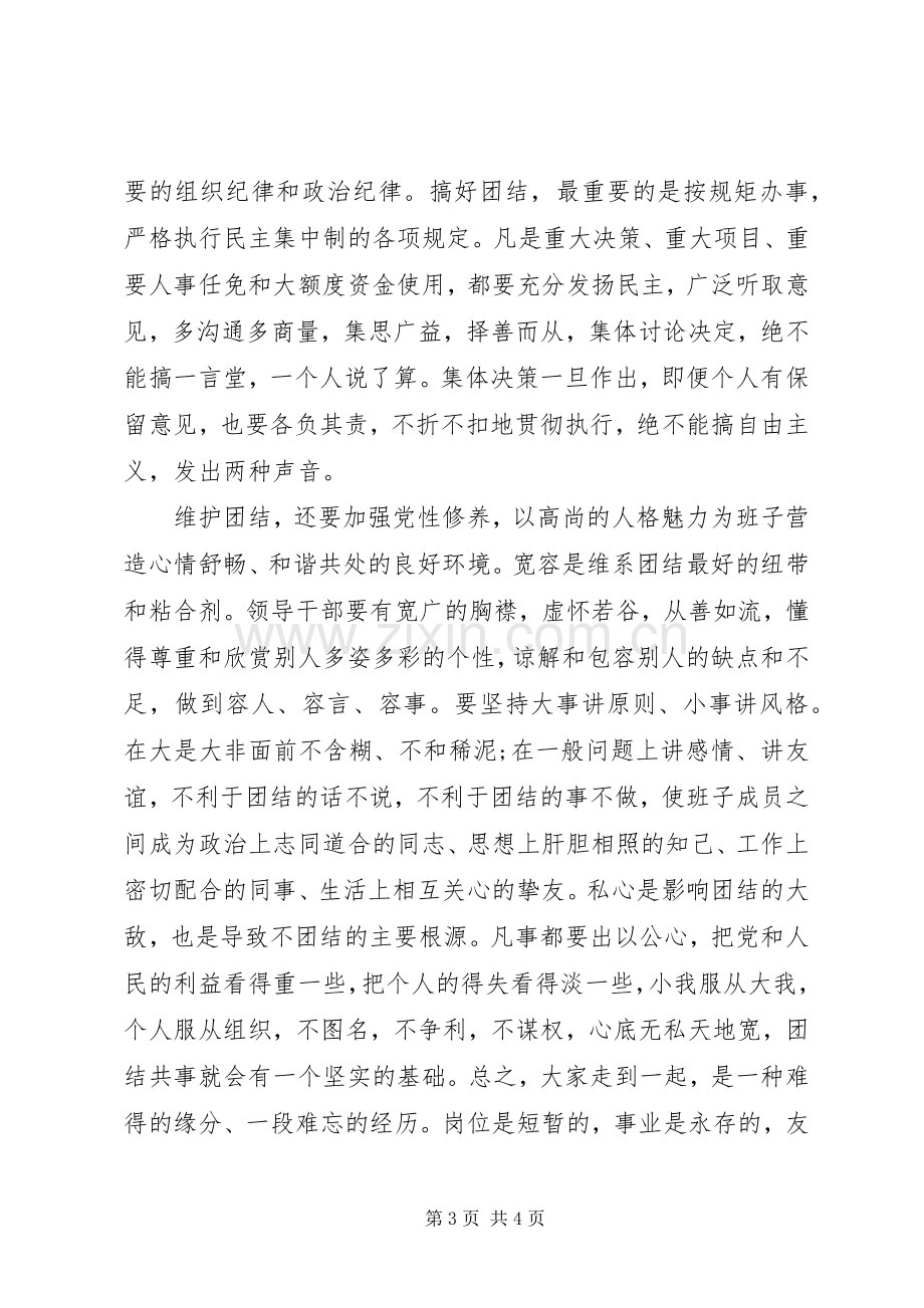 演讲稿：团结就是力量.docx_第3页