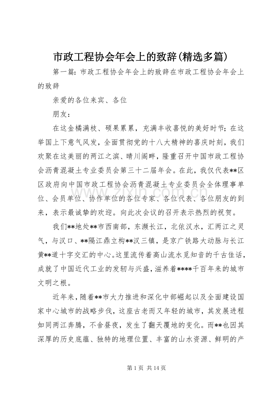 市政工程协会年会上的演讲致辞(多篇).docx_第1页