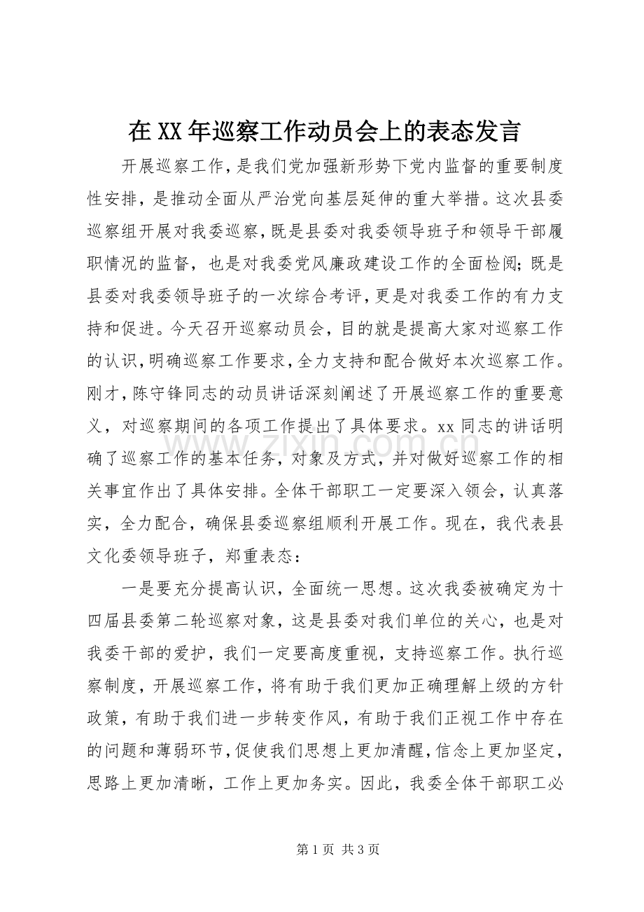 在XX年巡察工作动员会上的表态发言稿.docx_第1页