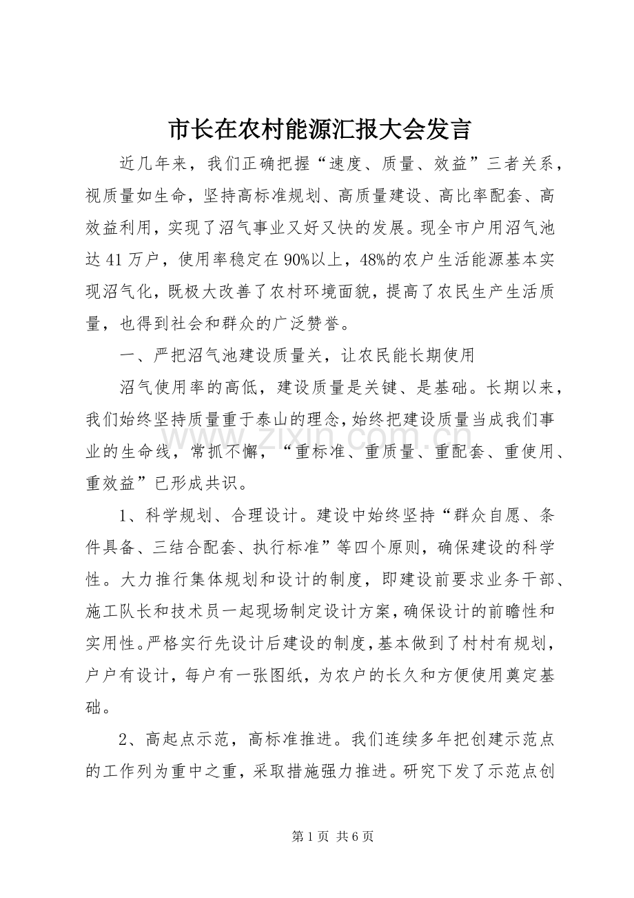 市长在农村能源汇报大会发言.docx_第1页