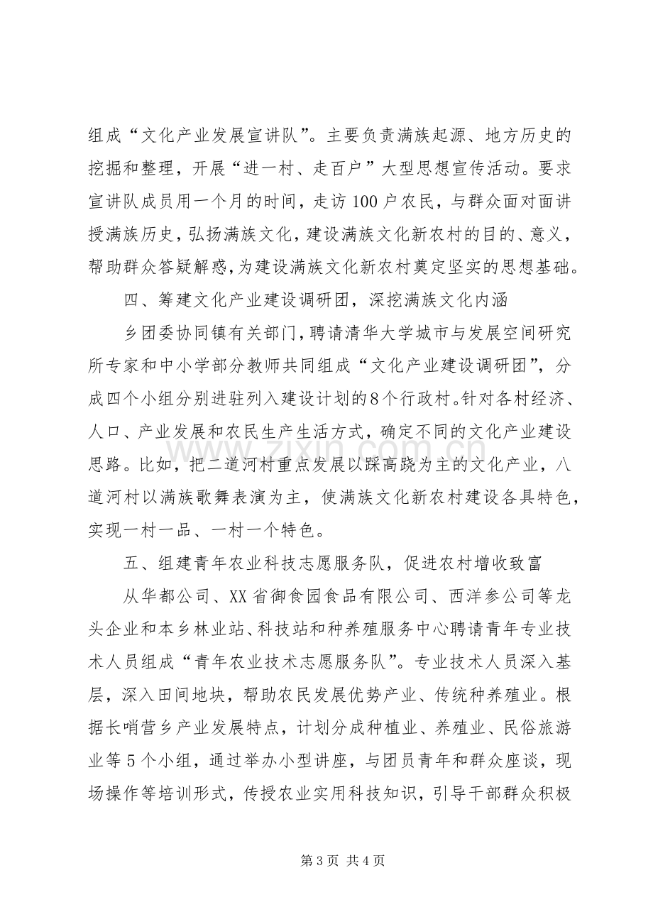 共青团特色活动助推新农村建设经验发言材料提纲范文.docx_第3页