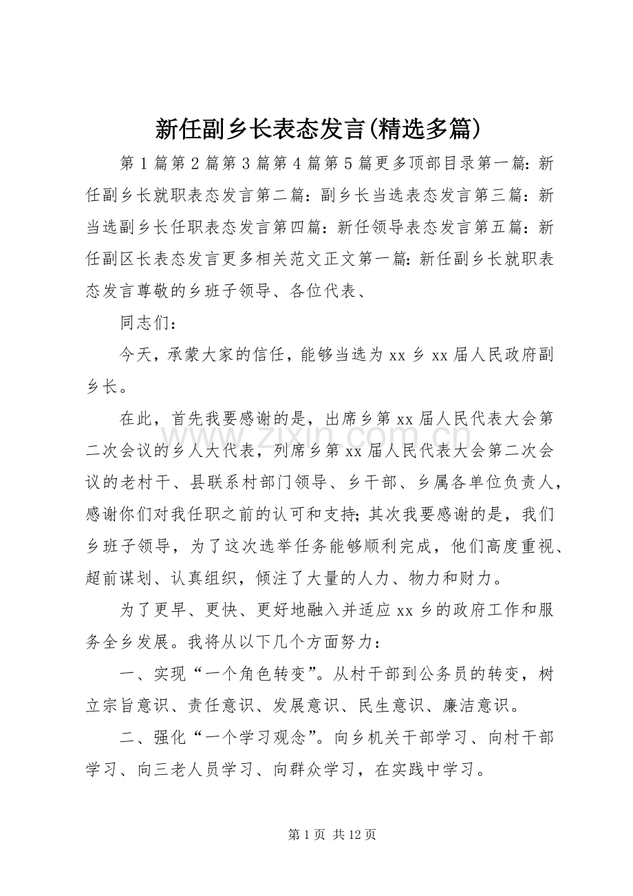 新任副乡长表态发言稿(多篇).docx_第1页