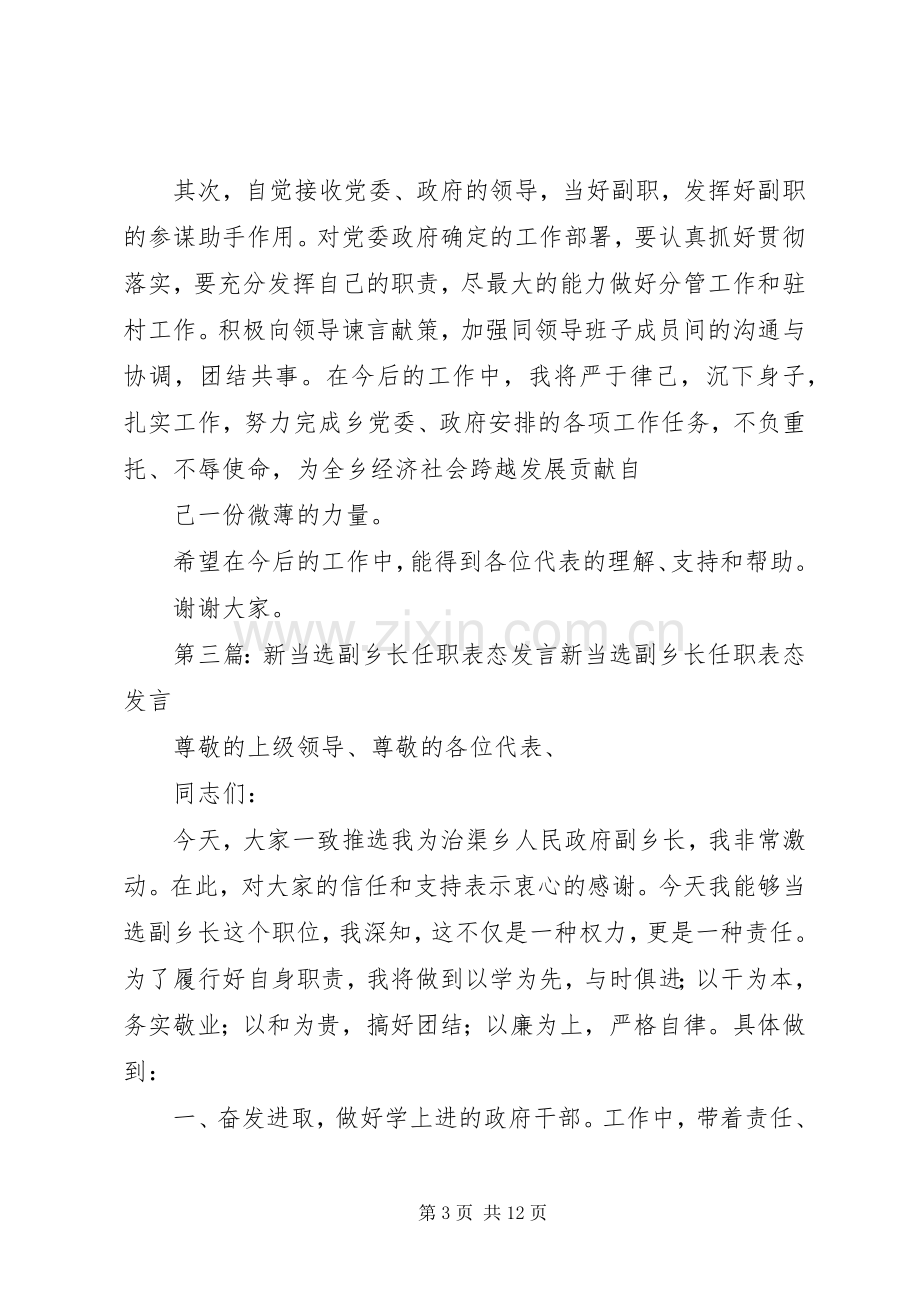 新任副乡长表态发言稿(多篇).docx_第3页